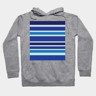 Shades of Blue Hoodie